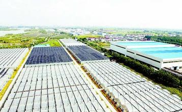 國務(wù)院發(fā)文推進(jìn)農(nóng)村一二三產(chǎn)業(yè)融合發(fā)展 鼓勵社會資本投入