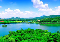 東莞榮膺“國(guó)家森林城市”稱