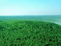 北海經濟開發區立足鋁產業集中建成29棟“標準化廠房”