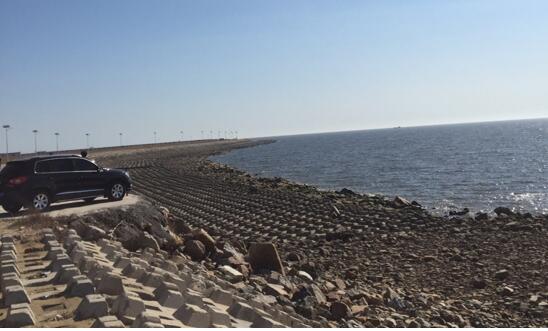 我院院長(zhǎng)李文輝帶隊(duì)考察盤錦市大洼縣文化旅游項(xiàng)目