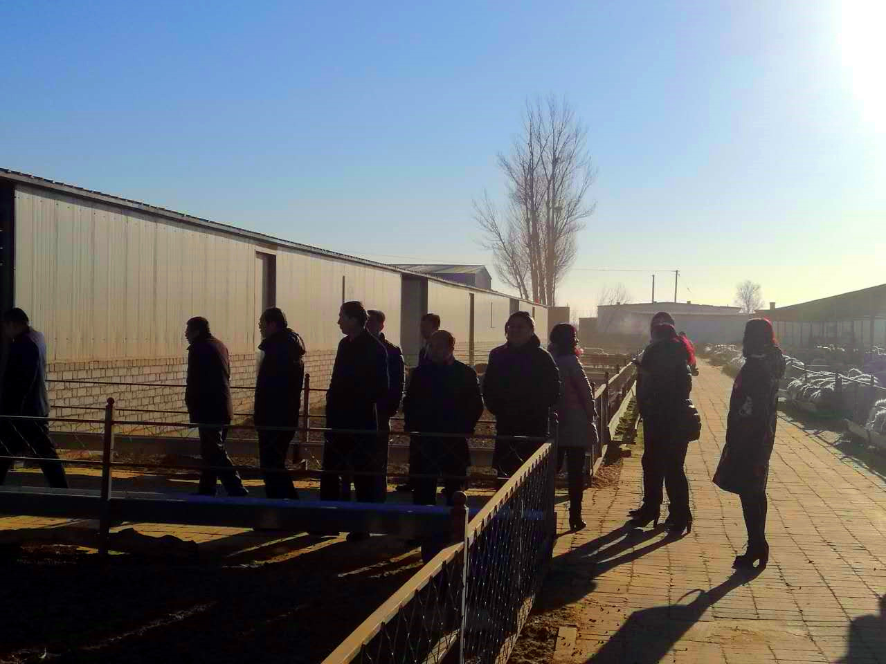 塞上江南河套腹地巴彥淖爾將冉起國家農高區