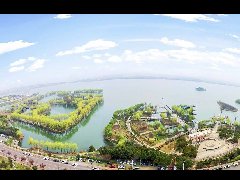 產業規劃如何做才最合理？