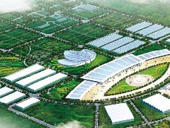 “壩區(qū)”引領產(chǎn)業(yè)興 “菜菇”滿園百姓笑