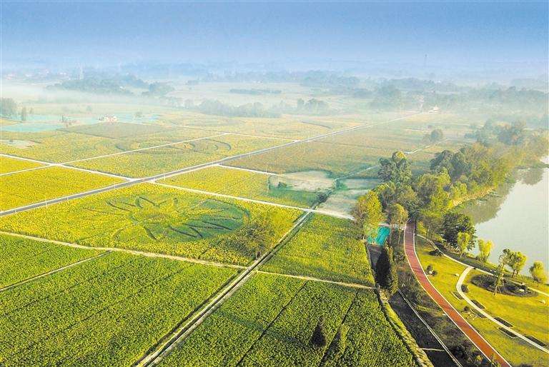 農(nóng)業(yè)政策 | 農(nóng)業(yè)農(nóng)村部 關(guān)于開展2022年畜禽養(yǎng)殖標準化示范創(chuàng)建活動的通知