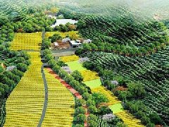 黑龍江省“十四五”規劃《綱要》出爐 聚焦“十個新突破”明確13個領域重點任