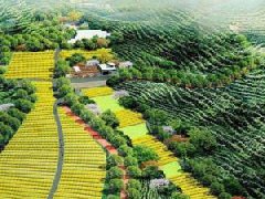 旌德經開區(qū)多措并舉推動經濟高質量發(fā)展