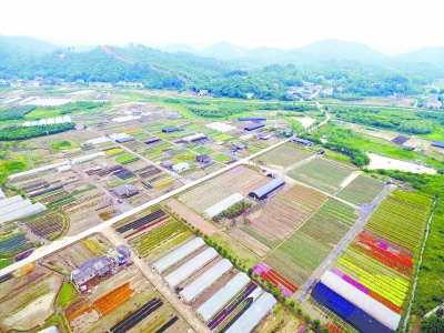 以“一帶一部”新戰(zhàn)略提升湖南發(fā)展新優(yōu)勢(shì)