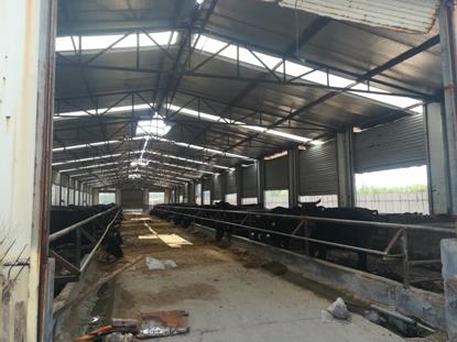 山東高青啟動國家農(nóng)業(yè)科技園區(qū)申報(bào)工作