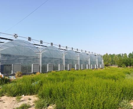 山東高青啟動國家農(nóng)業(yè)科技園區(qū)申報(bào)工作