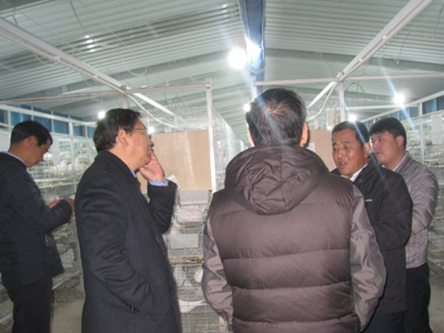 太行山革命老區，阜平縣鄉村振興正當時