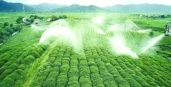 重磅！2019中央一號文件即將發布！大農業領域迎來新機遇