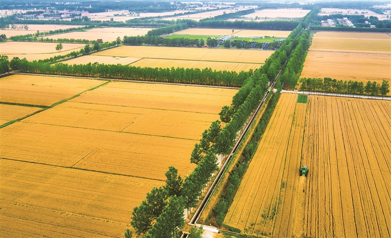 江蘇：魚米之鄉，鄉村產業動能澎湃