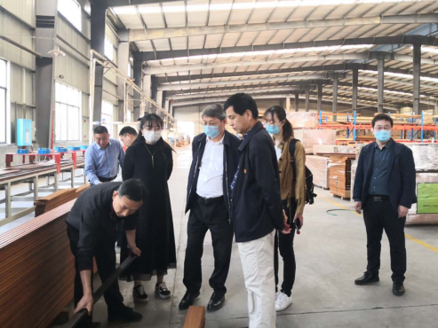 竹青筍香“桃花江”，現代農業吐芬芳