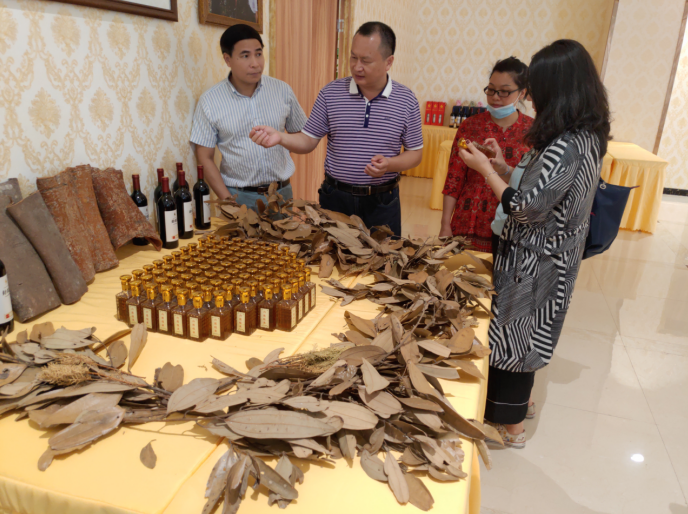 龔州大地，龍眼飄香-平南現(xiàn)代農(nóng)業(yè)正釋放科技創(chuàng)新活力