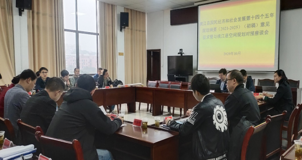 集聚頭腦風暴，為高質量編制桃江“十四五”規劃建言獻策