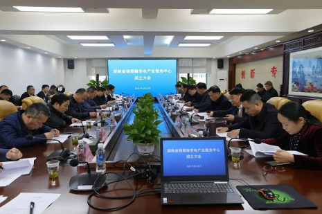 湘雁輸變電產(chǎn)業(yè)服務(wù)中心在長(zhǎng)沙成立，湖南輸變電產(chǎn)業(yè)開啟發(fā)展新篇章