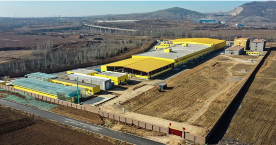 錦繡“五彩農業(yè)”，高平市爭創(chuàng)國家 現代農業(yè)產業(yè)園吹響集結號