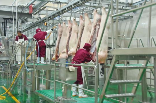 錦繡“五彩農業(yè)”，高平市爭創(chuàng)國家 現代農業(yè)產業(yè)園吹響集結號