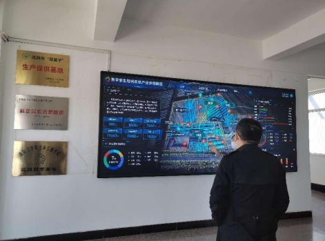 依托糧食和蔬菜兩大優質產業，新民市向國家農業現代化示范區邁進