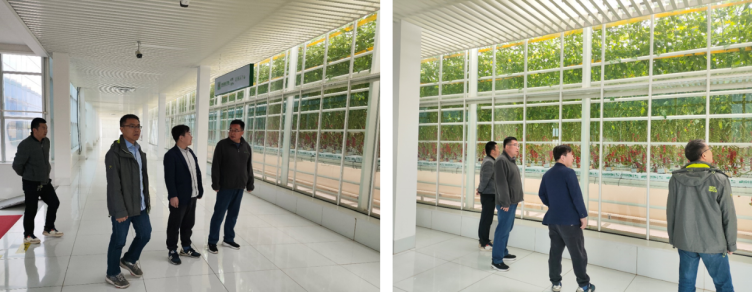 加強(qiáng)農(nóng)業(yè)產(chǎn)業(yè)布局規(guī)劃，民樂(lè)縣向農(nóng)業(yè)強(qiáng)縣進(jìn)發(fā)