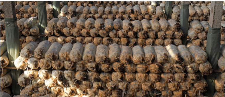 加強(qiáng)農(nóng)業(yè)產(chǎn)業(yè)布局規(guī)劃，民樂(lè)縣向農(nóng)業(yè)強(qiáng)縣進(jìn)發(fā)