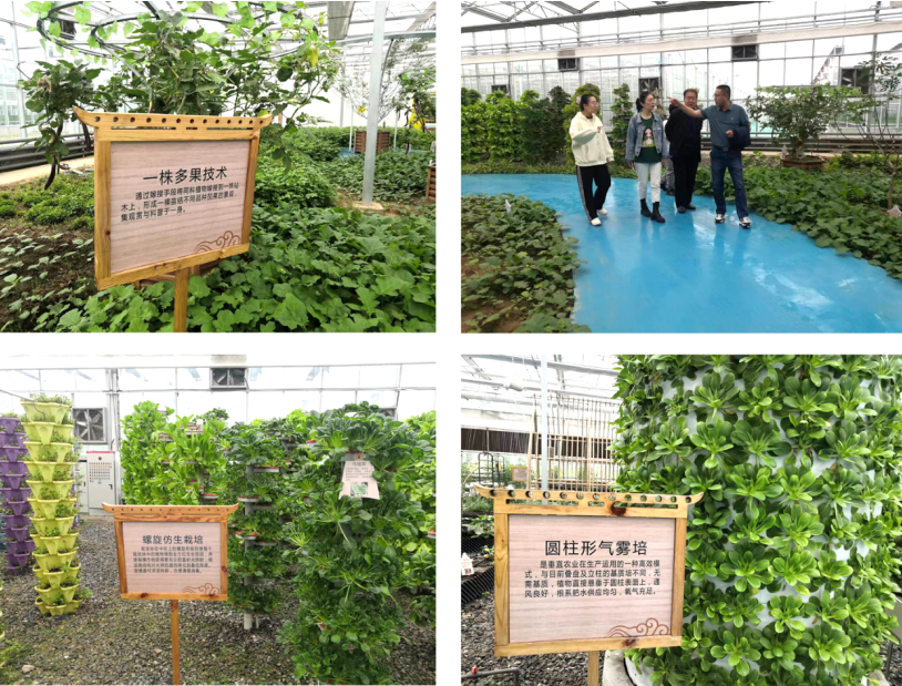 晉之源果蔬再啟航，曲沃開啟國家農業現代化示范區新征程