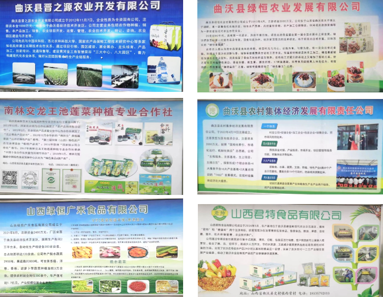 晉之源果蔬再啟航，曲沃開啟國家農業現代化示范區新征程