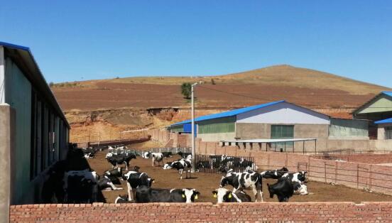 科右前旗農業現代化示范區創建按下“加速鍵”，吹響“集結號”