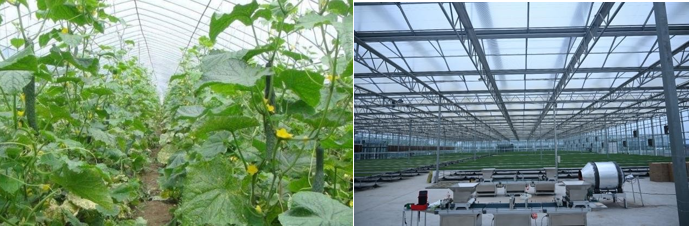 高新院再創佳績，又一國家現代農業產業園誕生在三晉大地