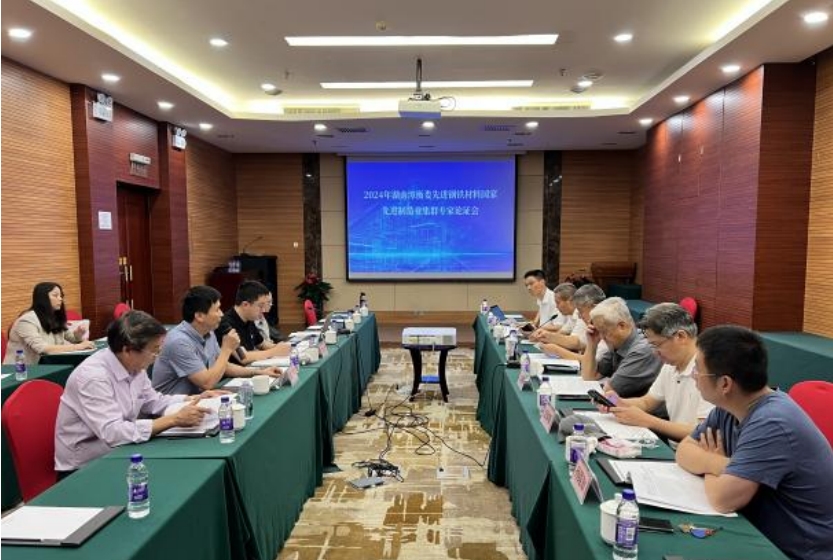 《培育發(fā)展湘潭市、婁底市、衡陽(yáng)市先進(jìn)鋼鐵材料集群實(shí)施方案》獲專家高度評(píng)