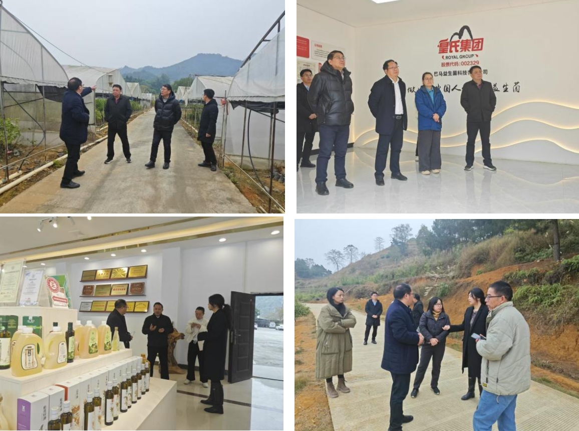 長壽之鄉(xiāng)，逐路之行——高新院專家組一行赴廣西巴馬瑤族自治縣開展河池農(nóng)高區(qū)創(chuàng)建調(diào)研