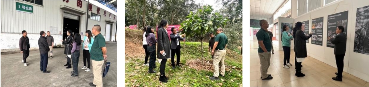 我院團(tuán)隊走入“中國天然橡膠第一縣”，與勐臘共赴國家現(xiàn)代農(nóng)業(yè)產(chǎn)業(yè)園建設(shè)之路